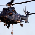 D-HEGY, AS-332L1 Super Puma Bundespolizei (1458 відвідувань) D-HEGY, AS-332L1 Super Puma Bundespolizei
