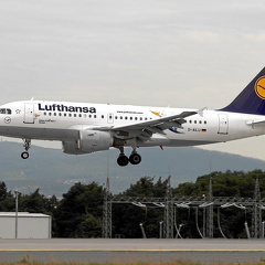 D-AILU A319-114 LH