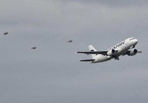 Airbus A319-112 Finnair OH-LVG FRA