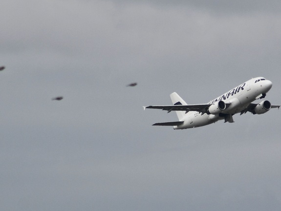 Airbus A319-112 Finnair OH-LVG FRA