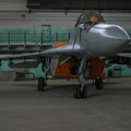 4104 MiG-29G 41elt ex29+17ex 745