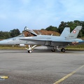 J-5017 F-18C Fliegerstaffel 17 (2323 Besuche) Fototag JG73"S" Laage 21.08.2003 J-5017 F-18C Fliegerstaffel 17