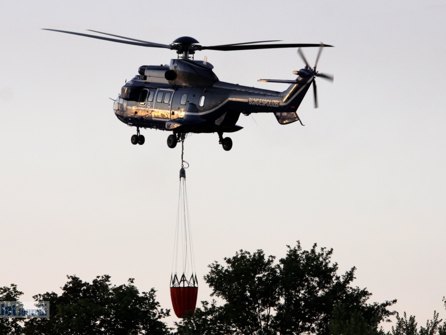 D-HEGZ, AS-332L1 Super Puma Bundespolizei (1485 Besuche) D-HEGZ, AS-332L1 Super Puma Bundespolizei