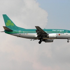 EI-CDD Boeing 737-548 Aer Lingus (2582 відвідувань) Frankfurt FRA/EDDF EI-CDD Boeing 737-548 Aer Lingus