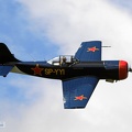 jak50-spyyi-2017-15c_20170528_1569332226.jpg