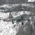j-3074_f-5e_tiger_pic1_26_20090502_1592041678.jpg