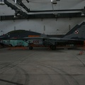 4105_mig-29gt_41elt_ex_2924_ex_181_pic1_20130224_1363331646.jpg