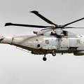 merlin-zh855-tigermeet2014-3-10c_20140819_1571267242.jpg