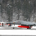 J-3062 F-5E Tiger Pic5 (3007 visite) J-3062 F-5E Tiger Pic5