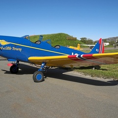 LN-BIF 163 Fairchild PT-19A (1945 visingar) LN-BIF 163 Fairchild PT-19A