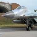2908_mig-29g_jg73_luftwaffe_pic4_20130513_1133492813.jpg