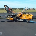 43+96 Tornado IDS RECCE Tiger 2003 Pic9a