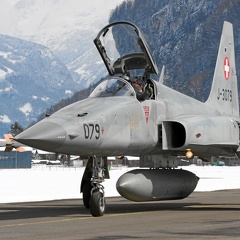 J-3079 F-5E Tiger Pic2 (3221 Besuche) J-3079 F-5E Tiger Pic2