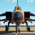 4396_tornado_ids_recce_tiger_2003_pic4_26_20090501_1174694893.jpg