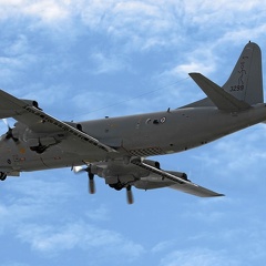 3299 P-3C Ulabrand RNoAF (4761 visitas) 3299 P-3C Ulabrand RNoAF