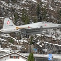 j-3044_f-5e_tiger_pic2_16_20090502_1004727660.jpg
