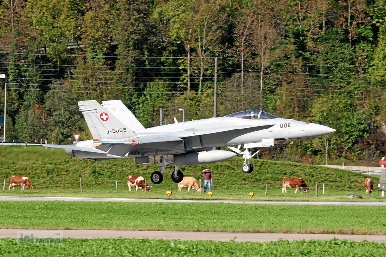 j-5006_f-18c_landung_meiringen_schweizer_luftwaffe_20130223_1540205315.jpg