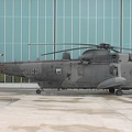 seaking-8965-nordholz2013-10c_20130828_1910874215.jpg