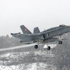 J-5020 F-18C Hornet Pic1