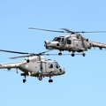 ZD261/GT-437 & ZD251/637 Lynx HMA8DAS & Lynx HAS3S