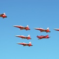 riat2006_renekurzenberg_img_4811_20120917_2091767905.jpg