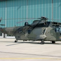seaking-8968-nordholz2013-10c_20130922_1637397627.jpg