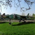 112_iar93a_20160411_1195319821.jpg