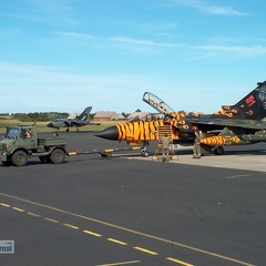 43+96 Tornado IDS RECCE Tiger 2003 Pic5