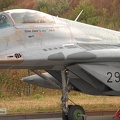 2908_mig-29g_jg73_luftwaffe_pic9e_20130513_1422436008.jpg