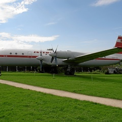 DDR-STH IL-18D