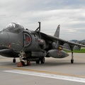 ZG531 85 Harrier GR7 1sqn RAF (2779 visitas) ZG531 85 Harrier GR7 1sqn RAF