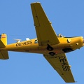 OE-KSS Saab 91D Safir (2049 visits) OE-KSS Saab 91D Safir