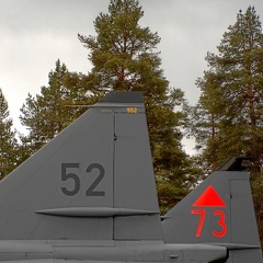 Viggen Tails (3477 odwiedzin) Viggen Tails