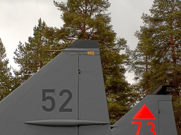 Viggen Tails (3070 Besuche) Viggen Tails