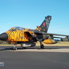 43+96 Tornado IDS RECCE Tiger 2003 Pic1