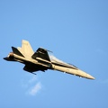 HN-416 F-18C Hornet
