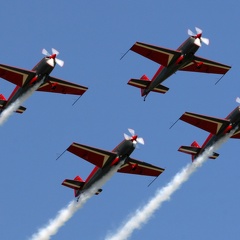 Royal Jordanian Falcons (2163 Besuche) Royal Jordanian Falcons
