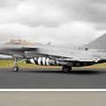 rafale-15-tigermeet2014-1-10c_20140819_1788191682.jpg