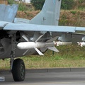 29+17 MiG-29G (5438 Besuche) Fototag JG73"S" Laage 21.08.2003 29+17 MiG-29G