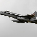 J-5020, F/A-18C, Schweizer Luftwaffe