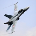 J-5010, F/A-18C, Swiss Air Force (просмотров: 3663) NATO Day 2016, Ostrava J-5010, F/A-18C, Swiss Air Force
