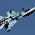 su27ub-ciaf2013-8-10c_20131030_1006158376.jpg