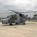 zz396_wildcat_hma2_700w_sqn_20130907_1744091721.jpg