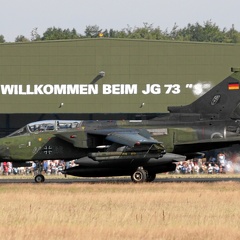 44+46 Tornado IDS JaboG33 mit aktivierter Schubumkehr (2309 visites) 44+46 Tornado IDS JaboG33 mit aktivierter Schubumkehr