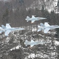 J-3044 J-3069 F-5E Tiger J-5007 J-5012 F-18C Hornet (4482 Besuche) J-3044 J-3069 F-5E Tiger J-5007 J-5012 F-18C Hornet