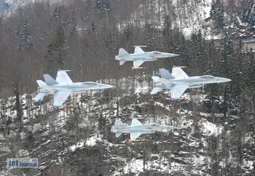 J-3044 J-3069 F-5E Tiger J-5007 J-5012 F-18C Hornet