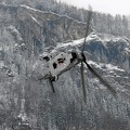 t-340_as532ul_cougar_pic4_10_20090502_1311821391.jpg