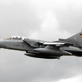 tornado-4475-tigermeet2014-3-10c_20140829_1860042861.jpg