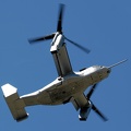 166391/MV22 MV-22B Osprey VMX-22 US Marine Corps (просмотров: 1927) 166391/MV22 MV-22B Osprey VMX-22 US Marine Corps