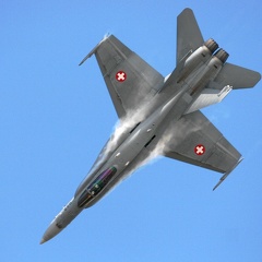 J-5022 F-18C Hornet Schweizer Luftwaffe (2084 Besuche) J-5022 F-18C Hornet Schweizer Luftwaffe